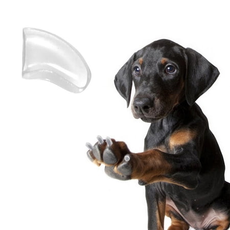 Pretty Claws Crystal Clear Nail Caps for Dogs - X-Large Size - 60 Pack ~ Stylish