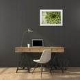 thumbnail image 3 of Berzel, Erin 32x23 White Modern Wood Framed Museum Art Print Titled - Sempervivum Succulent I, 3 of 4