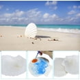 thumbnail image 6 of 1-12 PCS Natural Sea Shell Large White, 6-16cm Scallop Shells for DIY Craft, Serving Food, Baking and More, 6 of 6