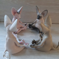 thumbnail image 4 of Sphynx cat meditating statue, room desk decoration black, 4 of 4