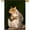 Multi4150, variant on Cute Squirrel Sitting on a Tree Branch Winter Garden Flag 28 x 40 Inch, Double Sided Outdoor Decorative Welcome Yard Flags for Home House Lawn Patio
