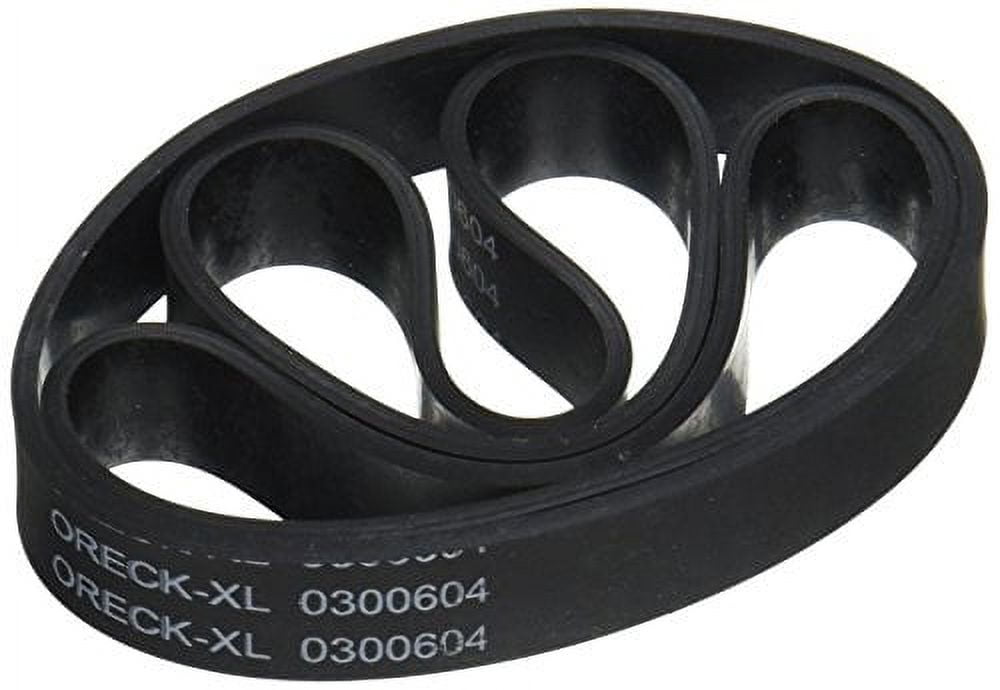 Bissell Pump Flat Proheat 1699 1698 8904 8804 7901 Belt - Walmart.com