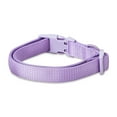 thumbnail image 4 of Vibrant Life Neoprene Cushioned Adjustable Dog Collar, Lilac, M, 4 of 7