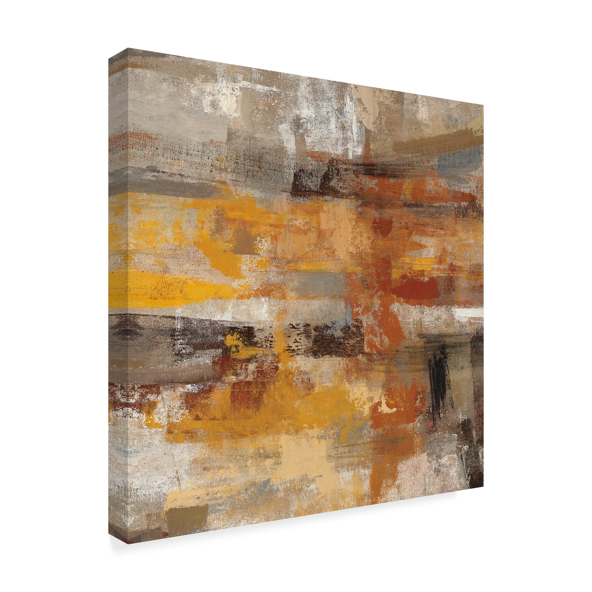 Trademark Fine Art 'Mojave Road Crop' Canvas Art by Silvia Vassileva