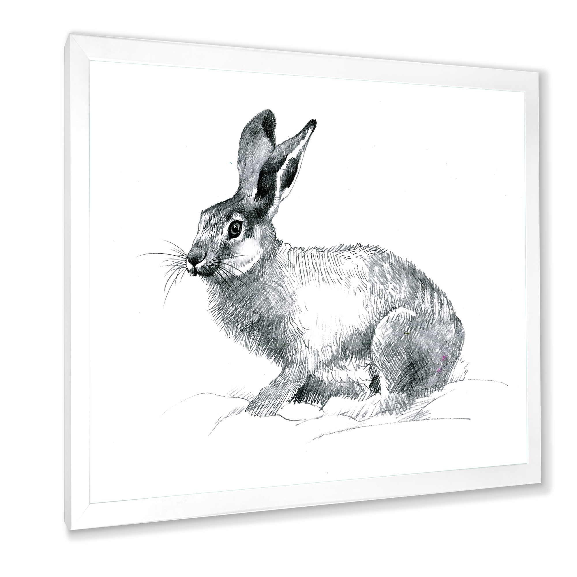 Designart 'Black and White Portrait Of Rabbit' Farmhouse Framed Art Print