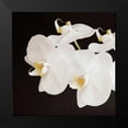 thumbnail image 2 of Susannah Tucker Photography 15x15 Black Modern Framed Museum Art Print Titled - Dramatic Orchid 2, 2 of 5