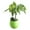 01-Green, variant on FNGZ Flower Pots Mini Colourful Round Plastic Plant Flower Pots Home Office Decor Planter Gardening Supplies Blue