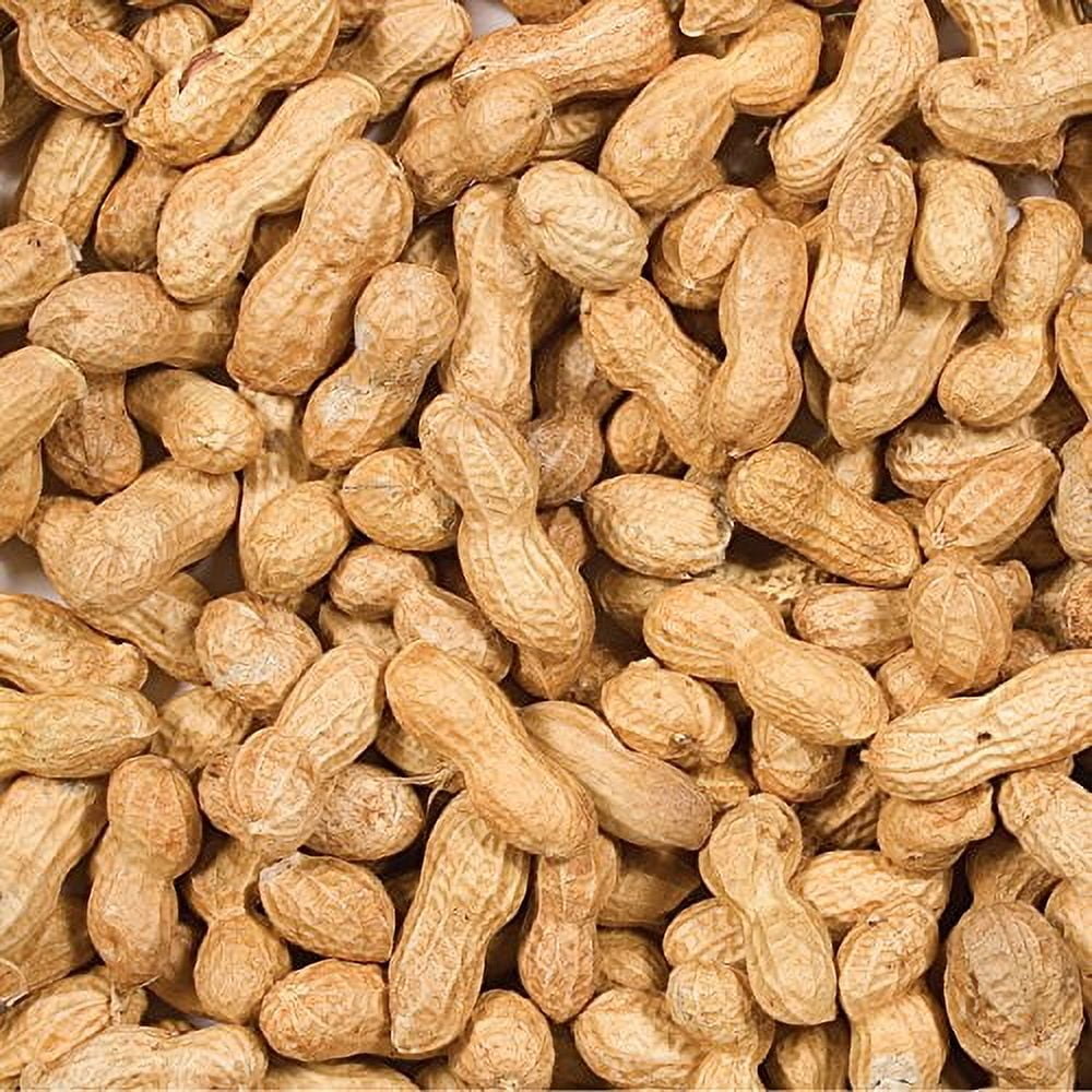 WILDBIRD INSHELL PEANUTS (Pack of 1)