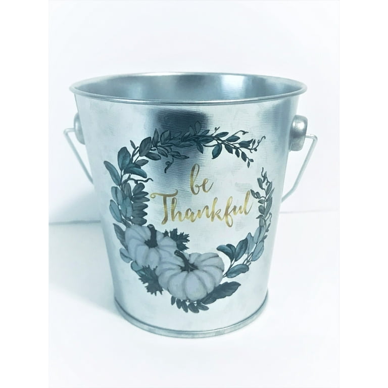 12 Pack Mini Metal Buckets Small Metal Pail Tinplate Tin Pails Containers  with Handles for Party Favors and Garden Decorations
