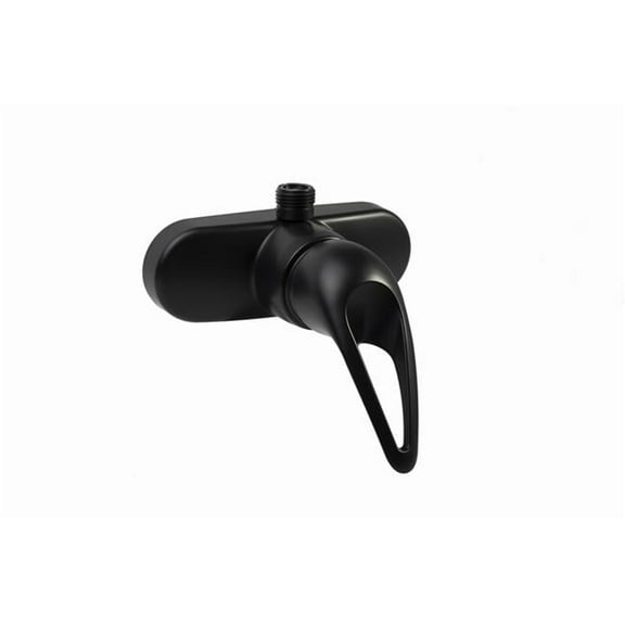 DFSA150MB Single Lever RV Shower Faucet, Matte Black