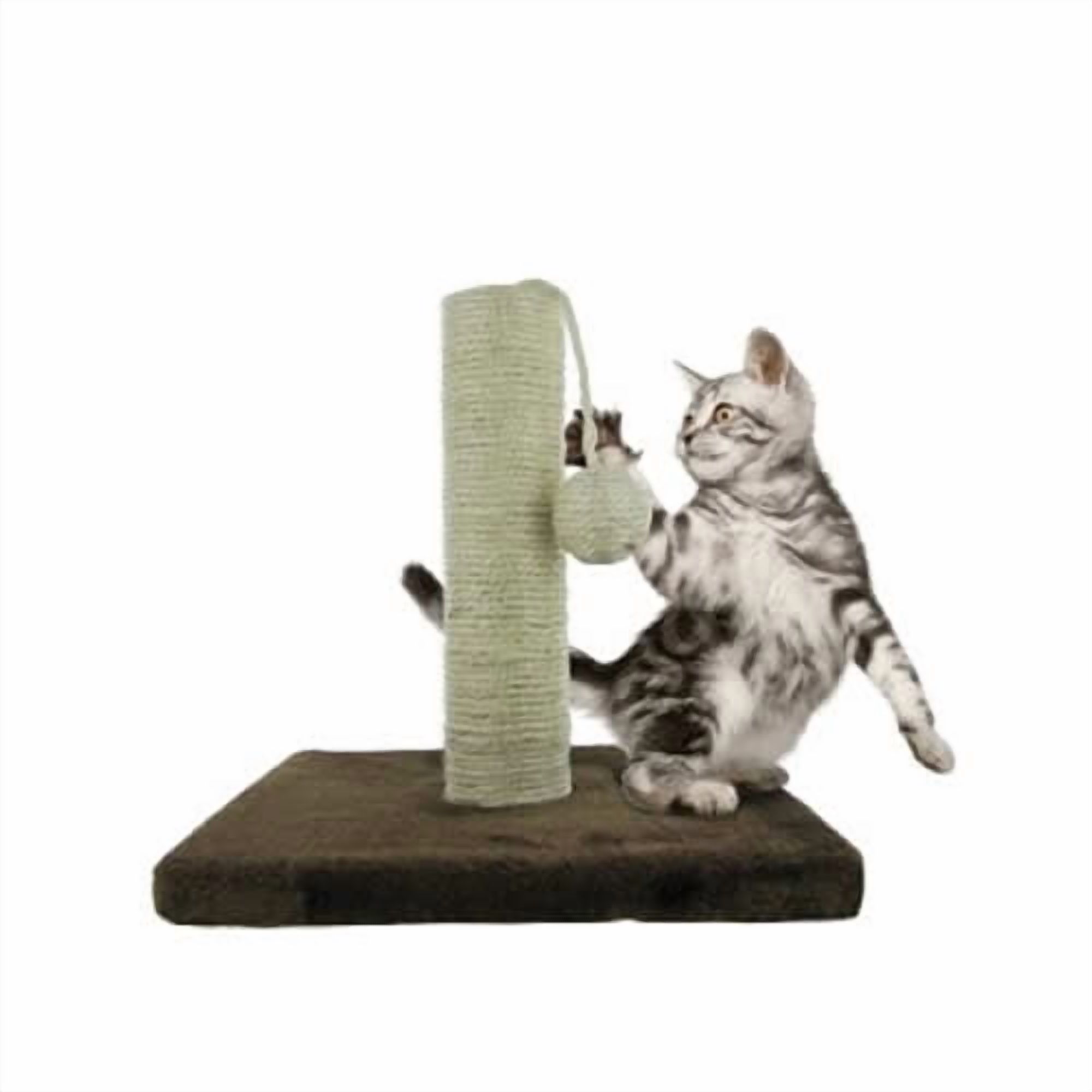 Wooden Cat Scratch and Play Post Wondertrail
