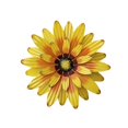 thumbnail image 1 of Pared De Flores De Metal, Decoración De Arte De Pared, Decoración De Girasol Colgante 3D Para Dormitorio, Sala De Estar, Oficina, Decoración Del Hogar Eigraketly HA044079-02, 1 of 6
