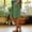 Green, variant on Casual Shorts for Women Spring Summer Straight Leg Capri Pants Elastic Waist Lightweight Relaxed Side Pockets Outdoor Shorts