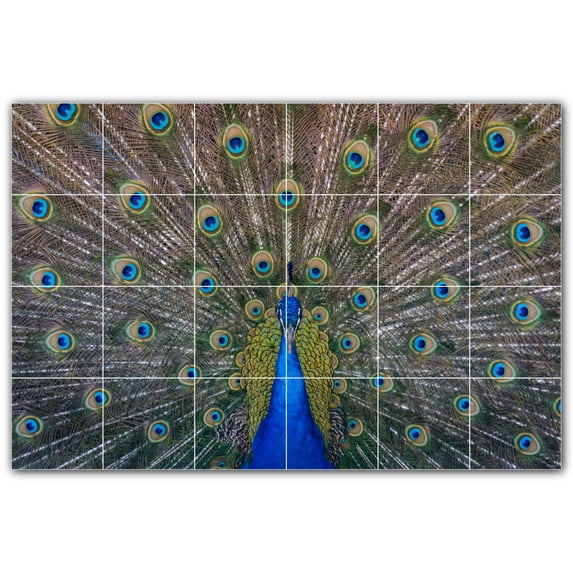 Picture-Tiles.com: Bird Ceramic Tile Wall Mural WAL500212-64M. 36"W x 24"H using (24) 6" x 6" Ceramic Tiles-Satin Finish