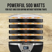 Mossy Oak 4 Tray Electric Food Dehydrator with Digital Timer, Adjustable Thermostat, 500 Watts