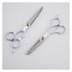 thumbnail image 3 of Tijeras profesionales para entresacar el cabello, 32 dientes y tijeras pequeñas para cortar el cabello, ergonómicas de acero., 3 of 4