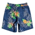 thumbnail image 2 of Short Quiksilver  Niños Paradise Express 16" Volleys Azul EQBJV03350BPZ6, 2 of 4
