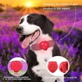 thumbnail image 3 of Collar para mascotas con luz LED nocturna y colgante brillante de silicona suave con 4 modos para perros y gatos., 3 of 5
