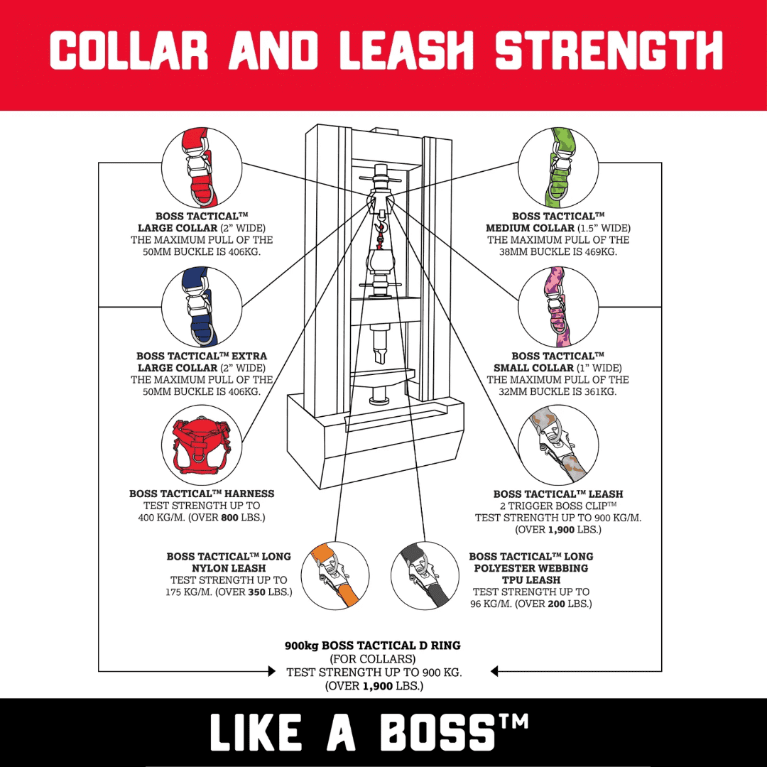 Boss Dog ProSeries Heavy Duty Dog Collar, Neoprene Lined, Black , XS