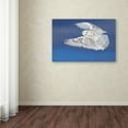 thumbnail image 3 of Jim Cumming 'Flight Of The Snowy Snowy Owl' Canvas Art, 3 of 3