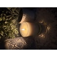 thumbnail image 6 of WTB&CC 12oz Caribbean Teakwood Scented Container Candle, 6 of 10