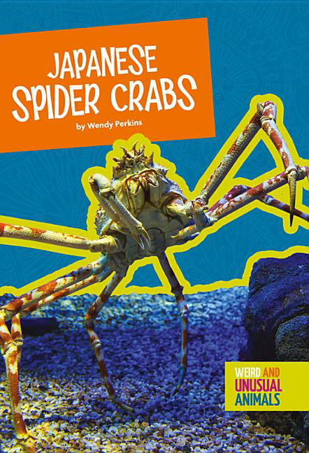 Weird And Unusual Animals Japanese Spider Crabs Paperback Walmart Com Walmart Com