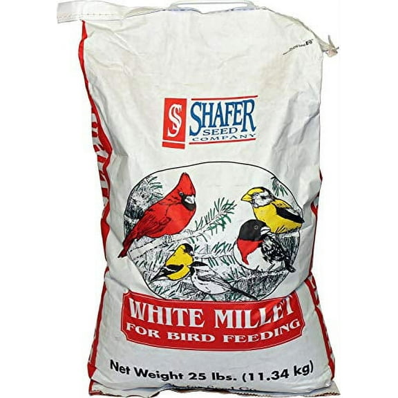 Shafer White Millet