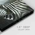 thumbnail image 3 of Zebra in Kenya-Premium Gallery Wrapped Canvas - Ready to Hang, 3 of 3