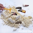 thumbnail image 4 of Allessimo Fossil Adventure - T-Rex Tooth Jr. Paleontologist Dig Kit, 4 of 6