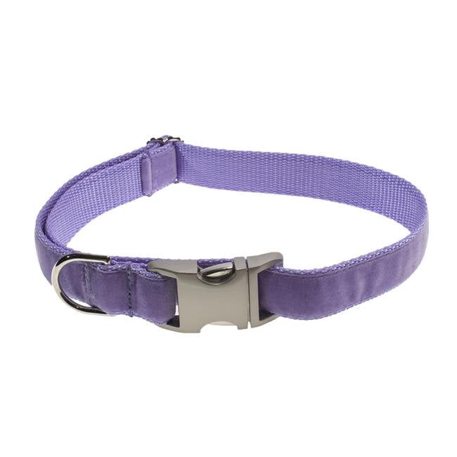 lavender dog collar