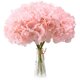 thumbnail image 1 of Cabezas De Flores De Seda De Hortensia Rosa Carne Paquete De 20 Hortensias Completas Afortunado Sencillez, 1 of 4