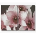 thumbnail image 3 of PixonSign Canvas Print Wall Art Set Close-Up of Pink Moth Orchids Botanical Bouquet Photography Realism Romantics Portrait Colorful Multicolor Ultra for Living Room, Bedroom, Office - 24"x36"x2, 3 of 5