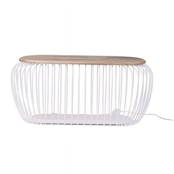 18 in. Cage 9W Floor Lamp Portable Light, White & Navaho White