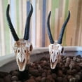 thumbnail image 4 of reative Reusable Wine and Beverage Bottle Stopper, used for Bar, Kitchen, Holiday Party, (Antelope skull wine stopper), 4 of 5