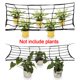 thumbnail image 3 of Red de enrejado Flexible, Red de escroto elástica ganchos de material acero para plantas de escalada de interior y exterior , flores CUTICAT red de enrejado, 3 of 6