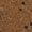 Rubbed Bronze, variant on Ekena Millwork  29 in. OD x 3.62 in. ID x 1.38 in. P Architectural Accents - Flower Ceiling Medallion Fits Canopies up to 6.25 in.