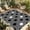 Black, variant on Indoor Outdoor Area Rugs,Gray White Polka Dot Modern Washable Patio Rug Non-slip Quick Dry Camping Rugs,Nordic Minimalist Style Floor Carpet for Porch Deck Backyard Decor,4x6ft