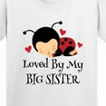 thumbnail image 4 of Inktastic Little Sister Ladybug Youth T-Shirt, 4 of 5