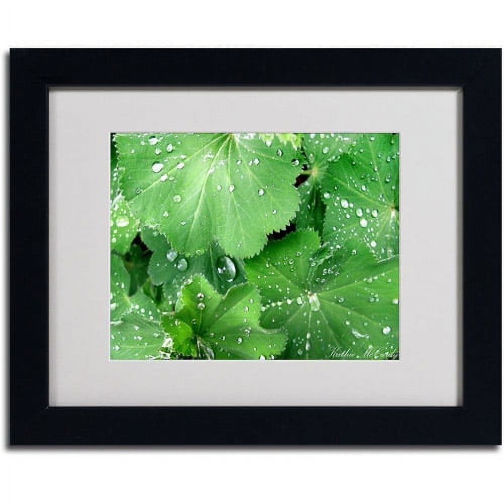 Trademark Art 'Water Droplets' Matted Framed Art by Kathie McCurdy