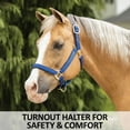 thumbnail image 2 of Dura-Tech Deluxe Fully Padded Breakaway Horse Halter | Over Size | Black, 2 of 8