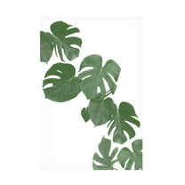 Canvas Wall Art - Pictufy Studio Ii 'Monstera Aqua 02' Wall Art for Living Room, Bedroom, or Office Décor by Trademark Fine Art - 30 x 47 Inches