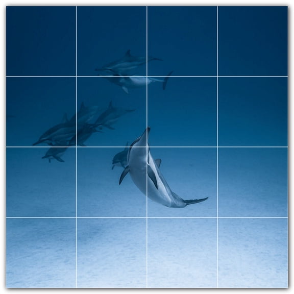 Picture-Tiles.com: Dolphin Ceramic Tile Wall Mural WAL500513-44S. 17"W x 17"H using (16) 4.25" x 4.25" Ceramic Tiles-Satin Finish