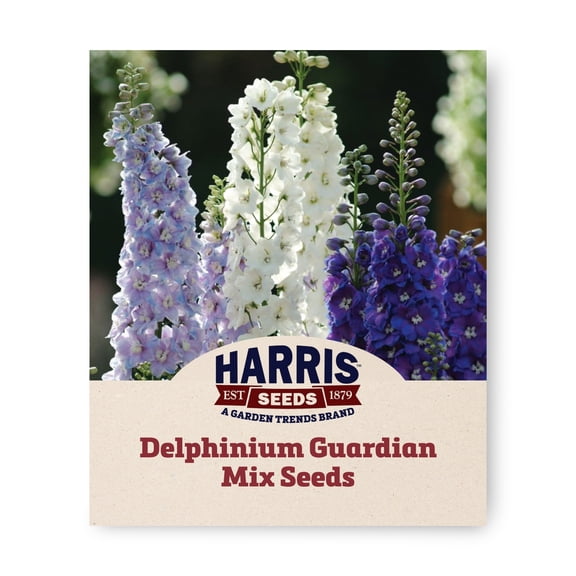 Harris Seeds Guardian Mix F1 Delphinium, Perennial Cut Flower Blend, Blue Lavender White, 100 Count