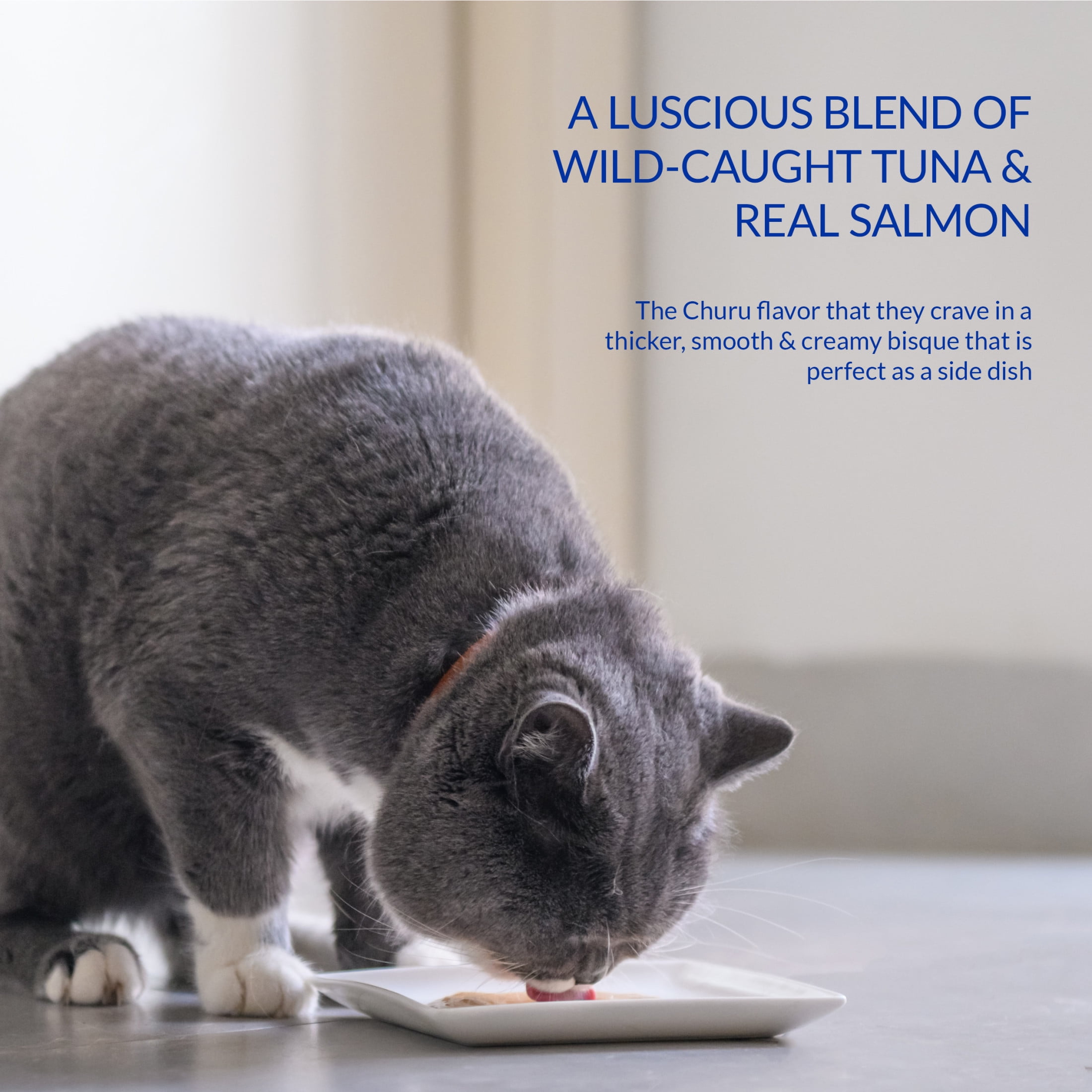 Inaba Churu Bisque Senior Lickable Wet Cat Topper, 1.4 oz Pouch, 12 Pouches, Tuna with Salmon