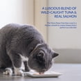 thumbnail image 5 of Inaba Churu Bisque Senior Lickable Wet Cat Topper, 1.4 oz Pouch, 12 Pouches, Tuna with Salmon, 5 of 7
