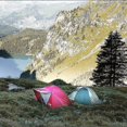 thumbnail image 3 of 16x Steel Tent Pegs - Durable Long Pegs With Plastic Frame Compatible Camping, 3 of 5