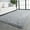 Gray, variant on GPED Fluffy Area Rug,4x6 ft Soft Shaggy Rugs Fluffy Carpets, Non-Skid Plush Area Rugs for Living Room Bedroom Decor（Black）