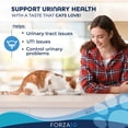 thumbnail image 2 of Forza10 Wet Cat Food Urinary Support 12 pack, 2 of 3