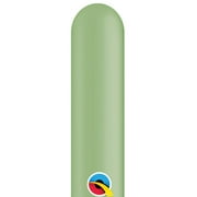 260Q Qualatex Cactus Latex Entertainer Balloons (100 Pack) - Party Supplies Decorations