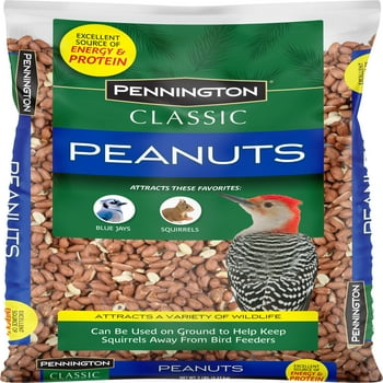 Pennington Shelled Peanuts Wildlife and Wild Bird Food, 5 lb. Bag